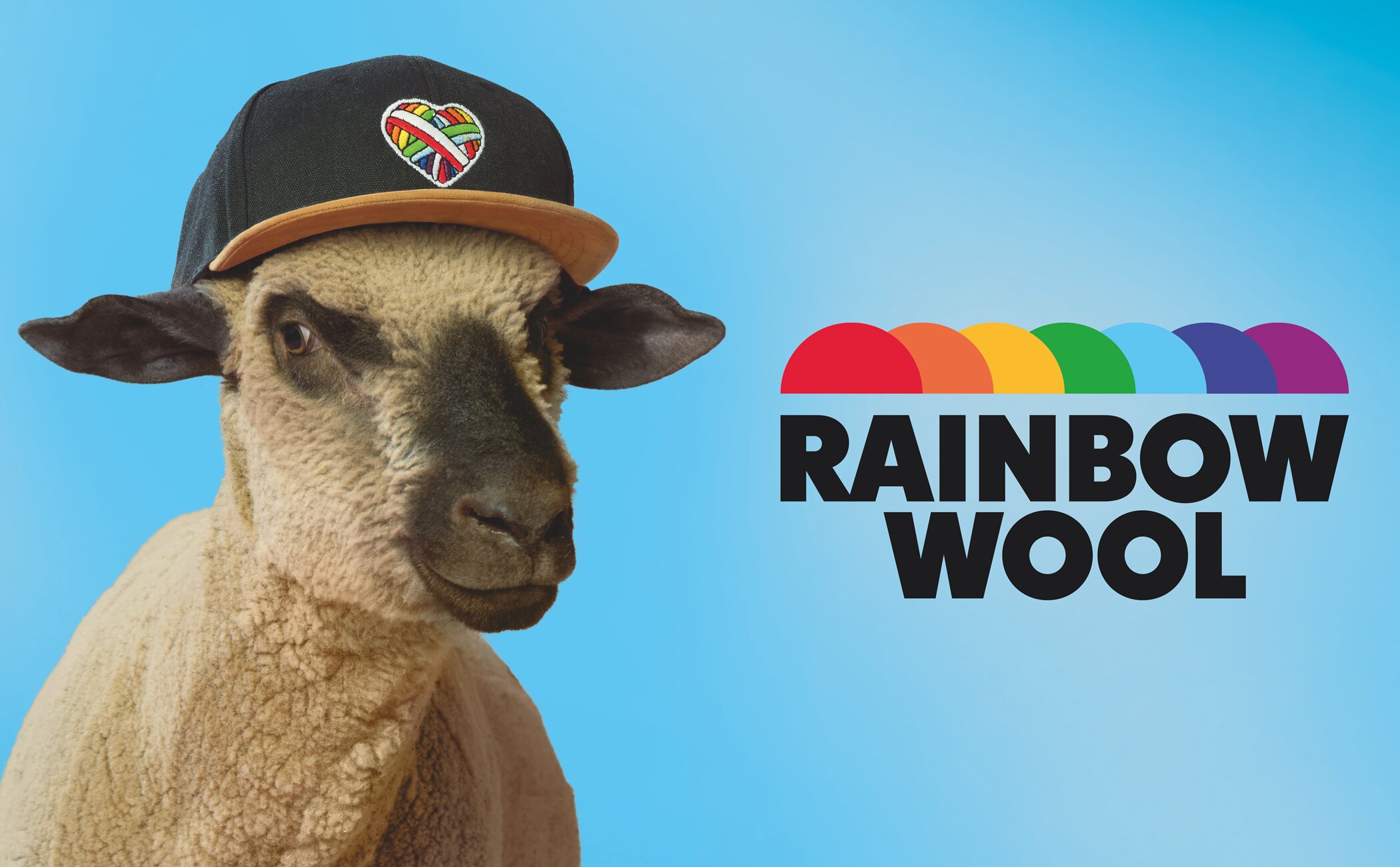 Rainbow Wool lanza la primera colección confeccionada con lana de ovejas gays