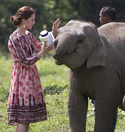 Los mejores looks de Kate Middleton en su viaje a la India y Bhutan