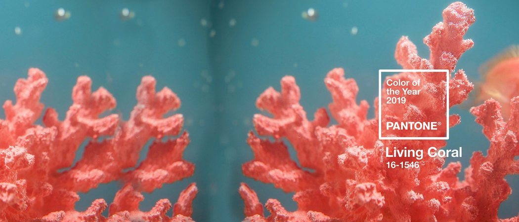 2019 ya tiene color según Pantone: el 'Living Coral'