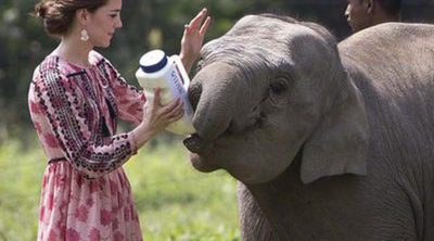 Los mejores looks de Kate Middleton en su viaje a la India y Bhutan