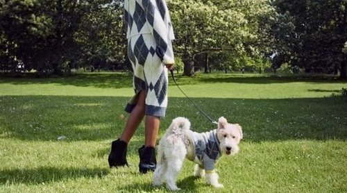 H&M ahora te permite que tu mascota y tú vayáis vestidos igual cuando salgáis de paseo