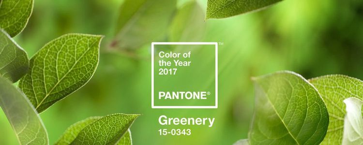 Color del año 2017 'Greenery' para Pantone