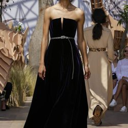 Vestido de terciopelo del desfile de Alta Costura Otoño-Invierno 2017-2018 de Dior