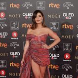 Dulceida con un vestido asimétrico en la alfombra roja de los Premios Goya 2018