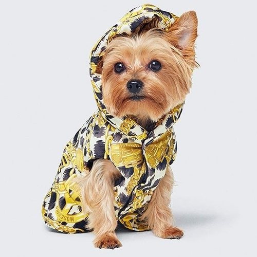 Camiseta para perro diseñada por Moschino para H&M