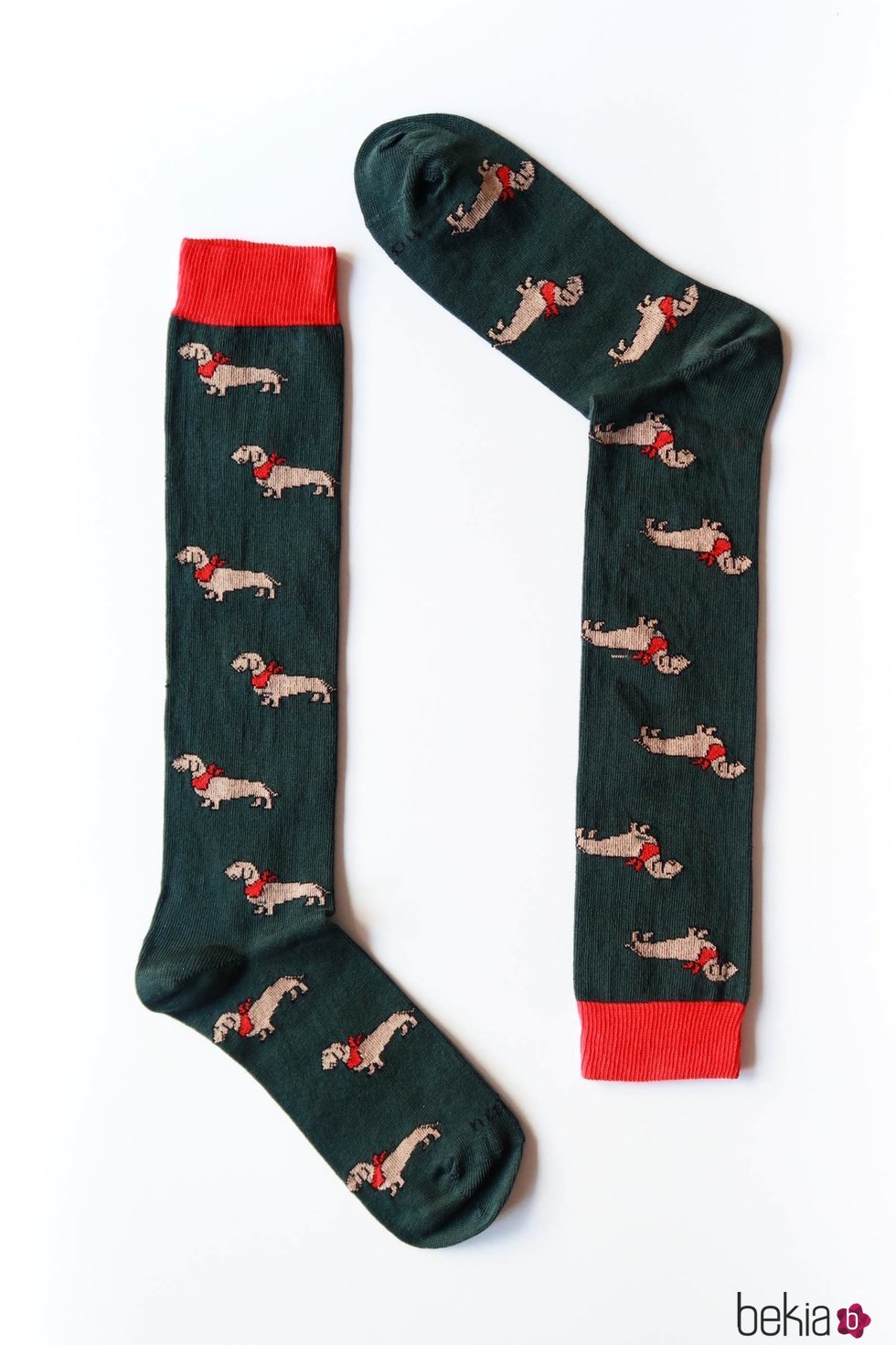 Calcetines con estampado de perros en verde y rojo de Naïve