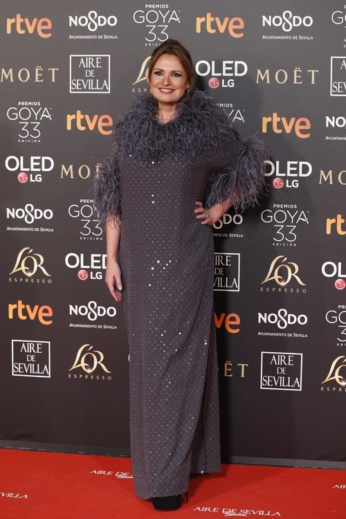 Ainhoa Arteta co un vestido gris en los Premios Goya 2019
