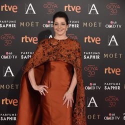 Mejor y peor vestidas en la alfombra roja de los Premios Goya 2016