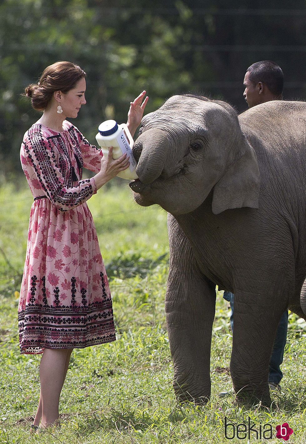 Kate Middleton alimentando a un elefante en su visita oficial a la India