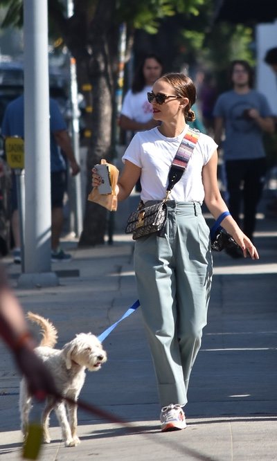 Natalie Portman tiene el bolso perfecto de Dior